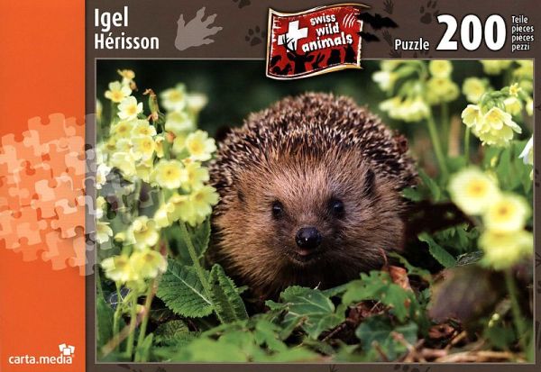 Spiel 6064.0