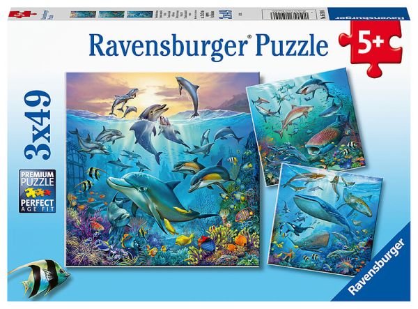 Spiel 6073.0